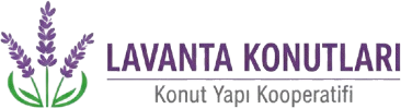 karataylavantakonutlari.com